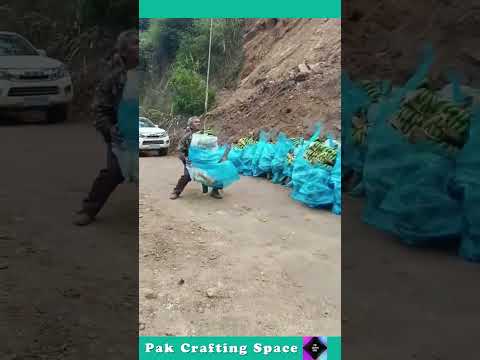 The Process Of Picking Up A Sack Of Bananas From A Drone Camera