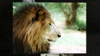 Nairobi Slideshow