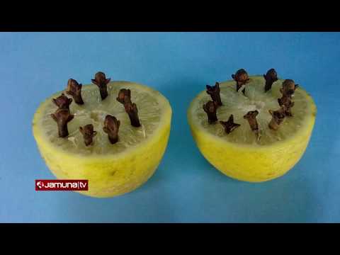 ভিডিও: মশার কীটপতঙ্গ প্রতিরোধ করুন - গাছপালা দিয়ে কীভাবে মশা নিয়ন্ত্রণ করা যায়