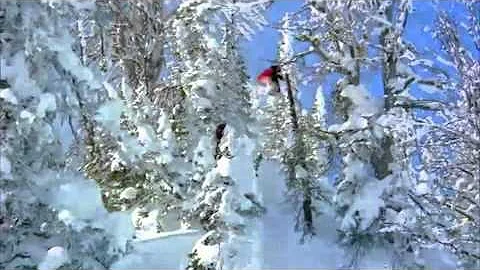 "The Art of FLIGHT" Xtreme snowboarding movie's