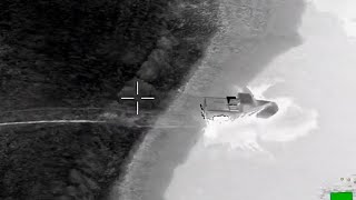 WATCH: Man fleeing police drives into pond at Manatee golf course