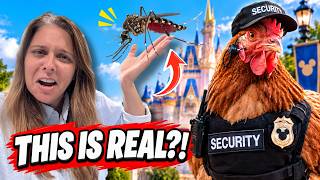 10 Disney World Secrets Even Die-Hard Fans Don’t Know