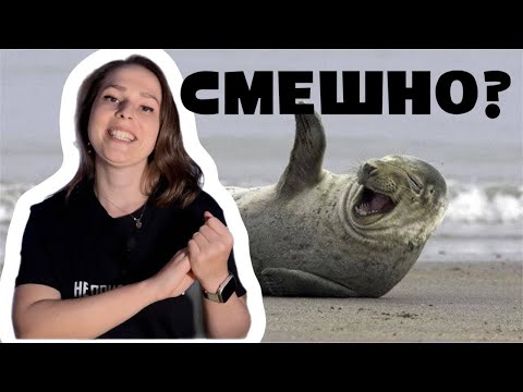Несмешные математические мемы. Математический адвент-календарь: день 28