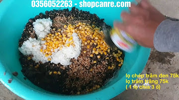 Hướng dẫn trộn mồi câu lục chép trắm đen