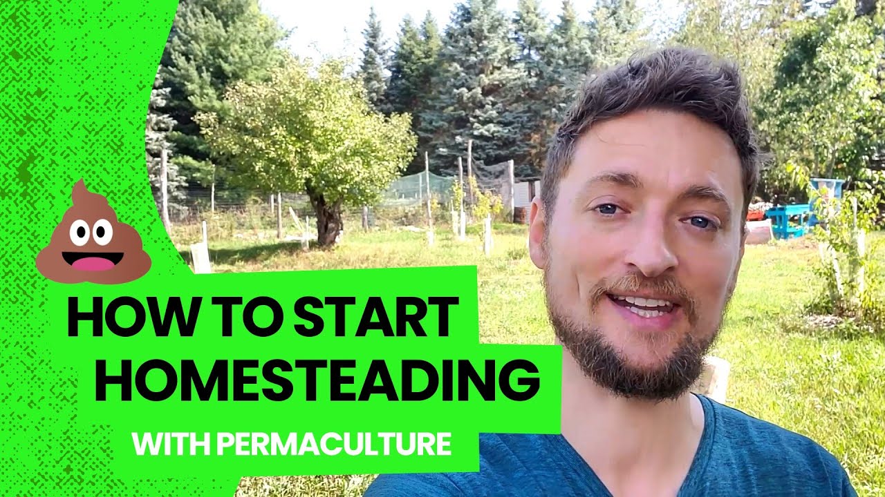 How to Start Homesteading with Permaculture - Understanding the Land ...