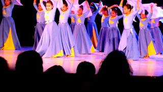 MVI_0010.MOV
