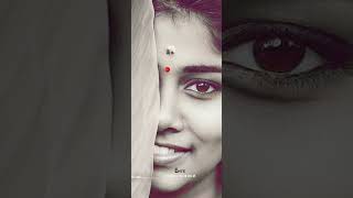 Kakka Karumbi Penne Nadan Pattu Stutes