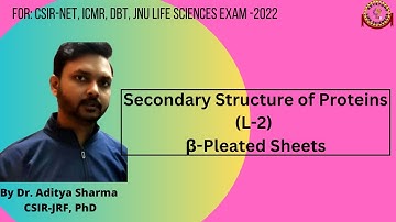 Secondary structure of Proteins(L-2)|Beta Pleated Sheets For CSIR-NET ICMR DBT and M.Sc. Students
