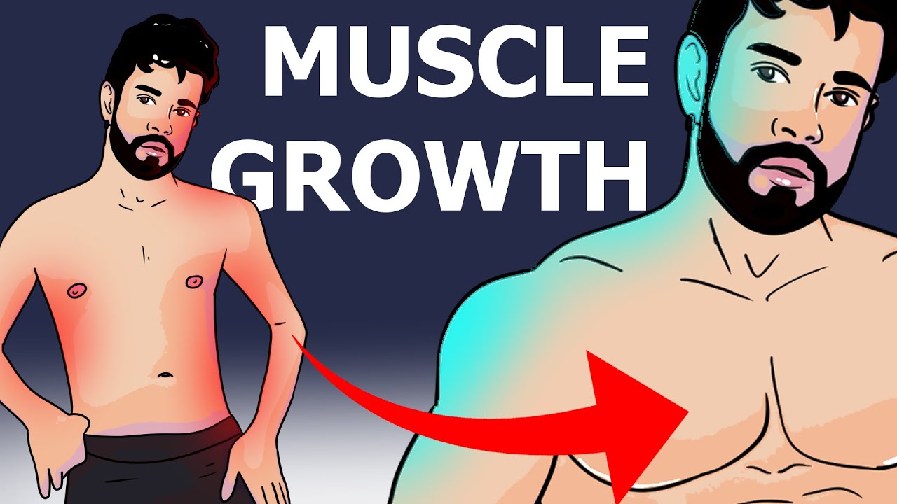 Muscle growth transformation animation compilation 1 (Alejo Ospina