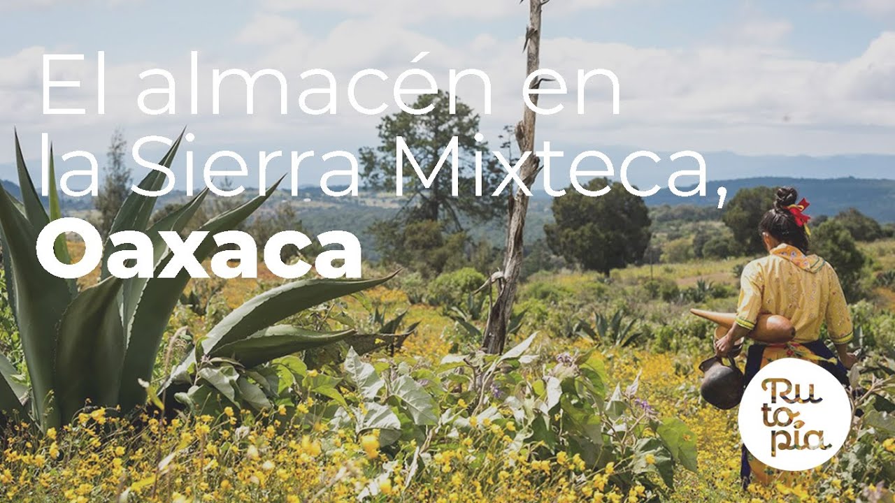 Image result for el almacén oaxaca