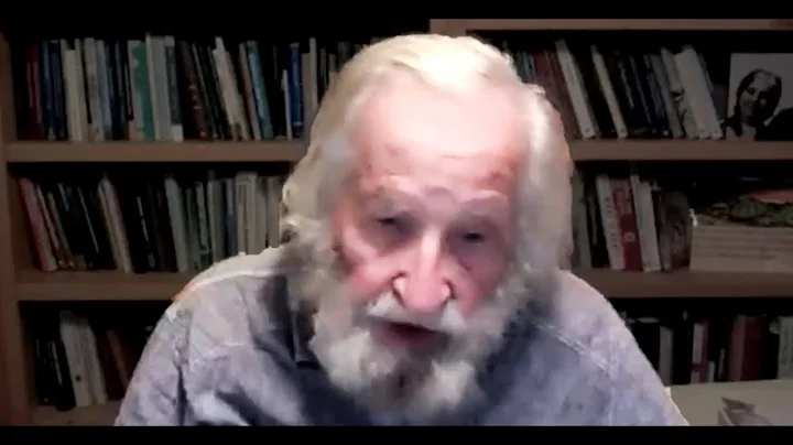 Two Types of Capitalism: Evil and Less Evil Noam Chomsky