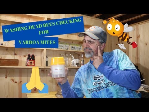 VARROA MITE ALCOHOL