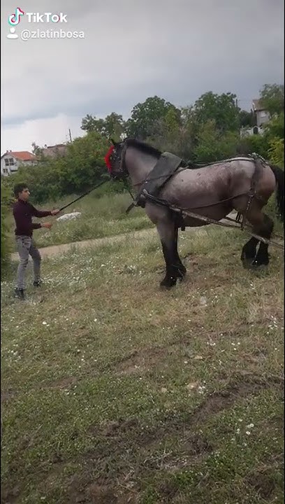 Кон Чильо - YouTube