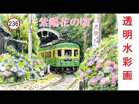 236】紫陽花の頃 藤森水彩画 watercolor: Around the time of