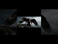 Life 500,000 Years Ago | Man vs Eagle – A Fight for Survival