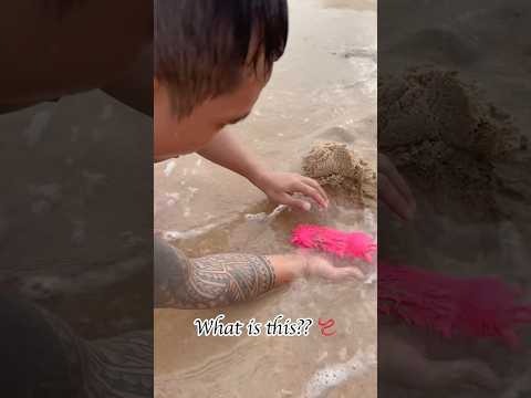 What is hot on beach 🏖️🌈🌊 #shorts #funny #viral #beach #sand