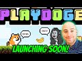 The best play to earn game in crypto  playdoge honest crypto presale review  playdoge 100x