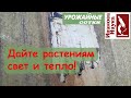 Восстанавливаем поликарбонатную теплицу: самое время ее помыть!