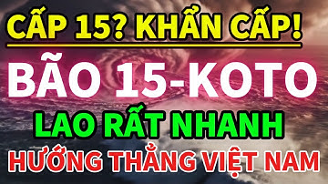 🌀 BÃO KOTO BÃO SỐ 15 – HÌNH THÁI NGUY HIỂM NHẤT CUỐI MÙA 2025?