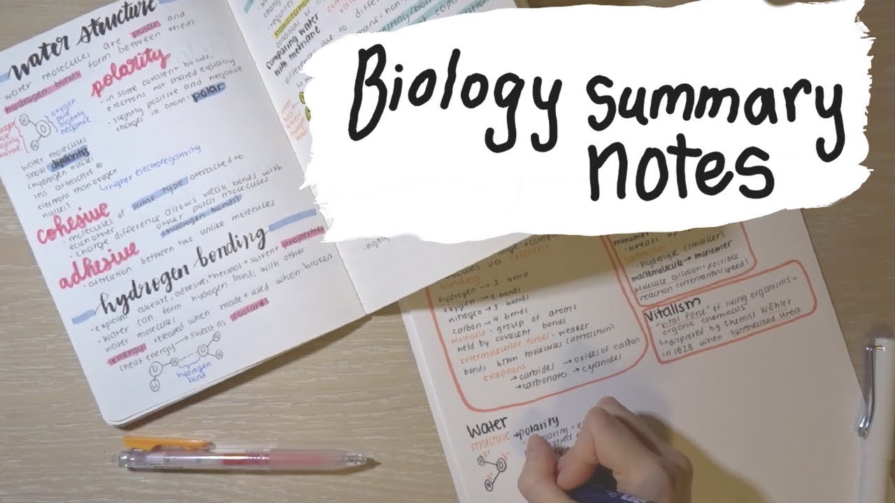 How I Got a 13 in IB HL Biology + Notes PDF - YouTube