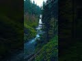 Which Nature Image Gives You The Vibe рџЊ пёЏрџЌѓ Vibes Nature Aesthetic Aurora Relaxing Which Nature Image Gives You The Vibe рџЊ пёЏрџЌѓ Vibes Nature Aesthetic Aurora Relaxing