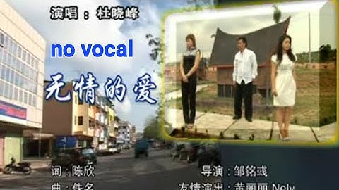无情的爱 Wu Qing De Ai 伴奏 karaoke 杜晓峰 Du Xiao Feng