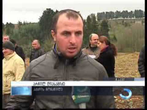 საპროტესტო აქცია ჩაქვში, გვირაბის მიმდებარე ტერიტორიაზე