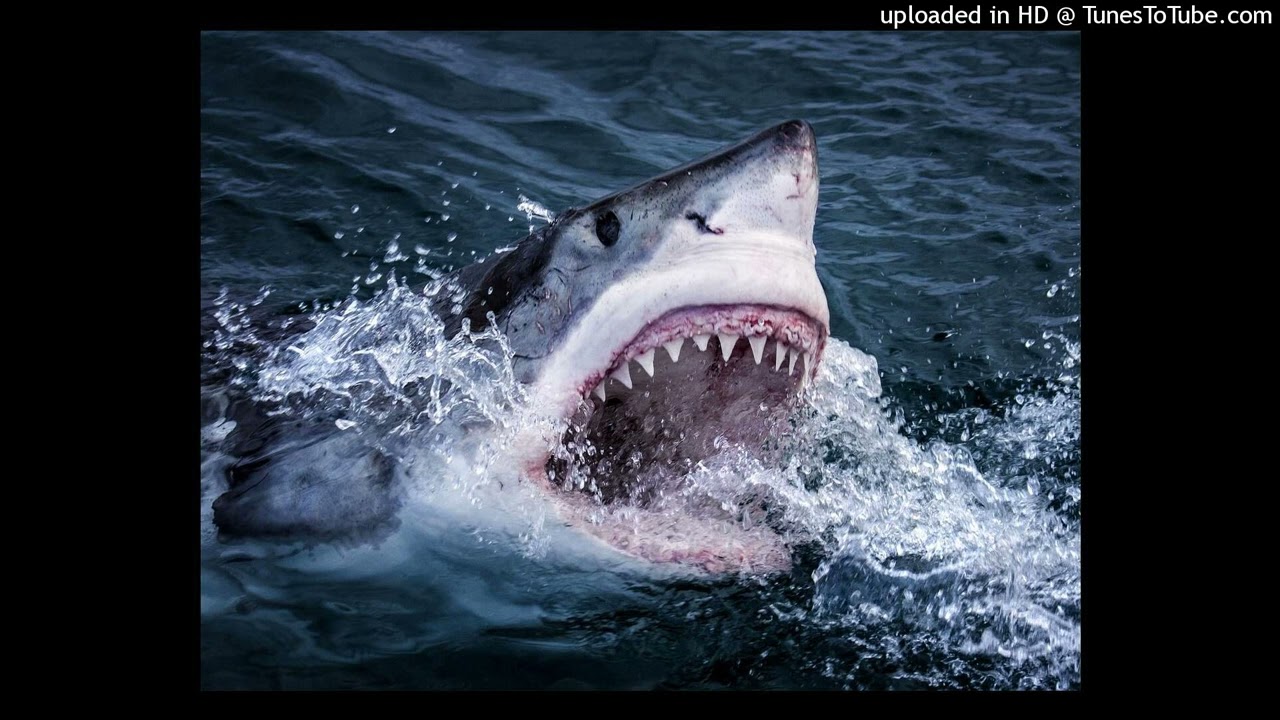 [FREE] Jah Drillz x LuFloxks x G3 Jersey Drill Type Beat 'Sharks' @swswimp