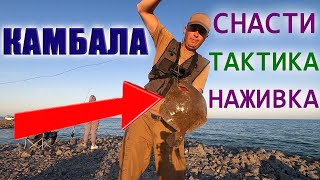 Как ПОЙМАТЬ КАМБАЛУ?! СНАСТИ, НАЖИВКА, ТАКТИКА Рыбалка НА КАЛКАНА в Азовском море КАМБАЛА КАЛКАН