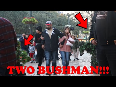 bushman-prank-2020----crazy-reactions!!!
