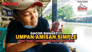 Umpan Simple Dengan Amisan Salmon Pelangi With Erwin PS81