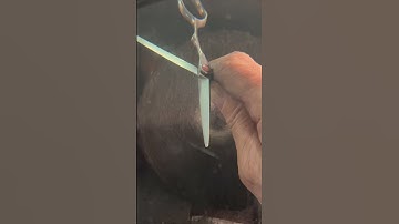 Immediately ask to compare your sharpened scissors to the edge on a new shear