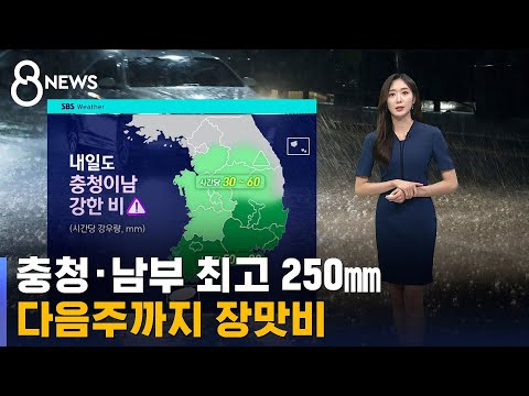   날씨 충청 남부 최고 250 온다 다음주까지 장맛비 SBS 8뉴스