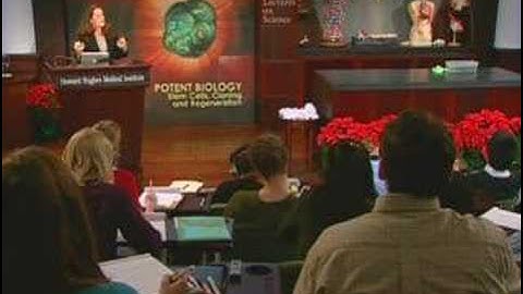 Adult Stem Cells and Regeneration Part 4 of 6