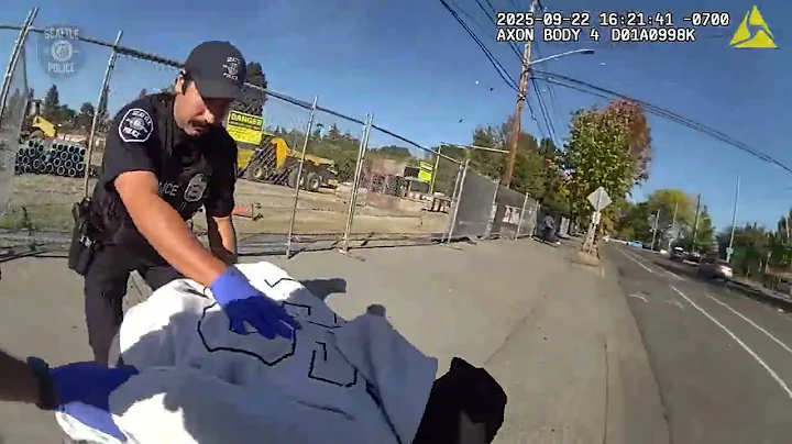 Teens Arrested, Cops Recover Stockpile of Weapons and Ammunition