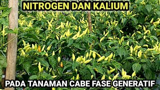 MANFAAT NITROGEN PADA TANAMAN DI FASE GENERATIF