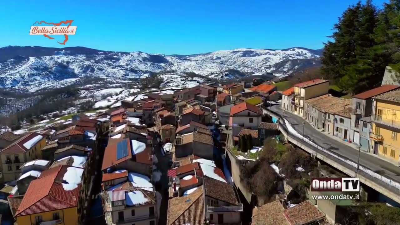 Floresta dal drone come non l'aveta mai vista prima
