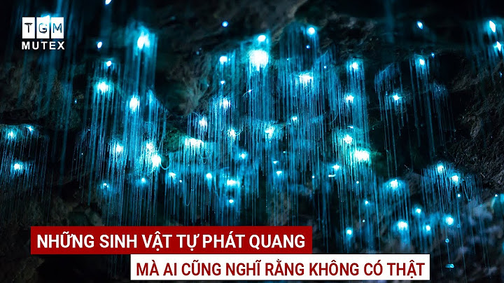 Khi dùng ánh sáng nào không thể làm phát quang năm 2024