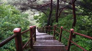 3357053397380c690fc601f1bdbe98ef 1