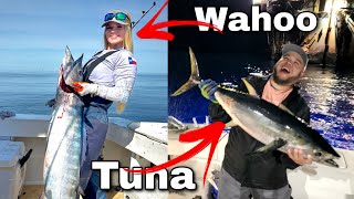 Wahoo and Tuna on Deck | Offshore Fishing | Up Above Adventures