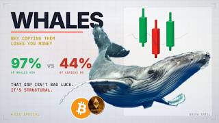 Crypto Whales: Why Following Whales Will Probably Lose You Money