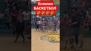 😱🏀Есекпен Баскетбол 🏀😱 Осёл на Баскетболе #compilation #horse #horseriding #war #rek #осёл #кокбору