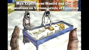 On DMT, Man Experiences Mantid and Grey Operations on Various Levels of Existence