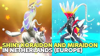 How to Get Shiny Koraidon and Miraidon in Europe (Netherlands Europe Code Mystery Gift)