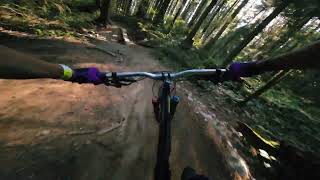 This trail has it all // Lower Digger, Mt. Fromme, BC // MTB