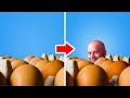 40 EGG HACKS