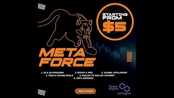 meta force earning process | meta force project | how meta force work
