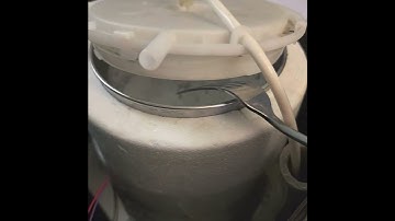 primo water dispenser not working