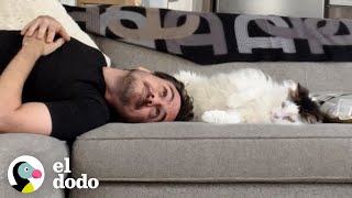 Chico cae en un 'amor tóxico' con su gato acosador | El Dodo by El Dodo 121,722 views 5 months ago 5 minutes, 19 seconds