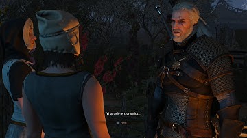 The Witcher 3: Wild Hunt - Deja vu bug